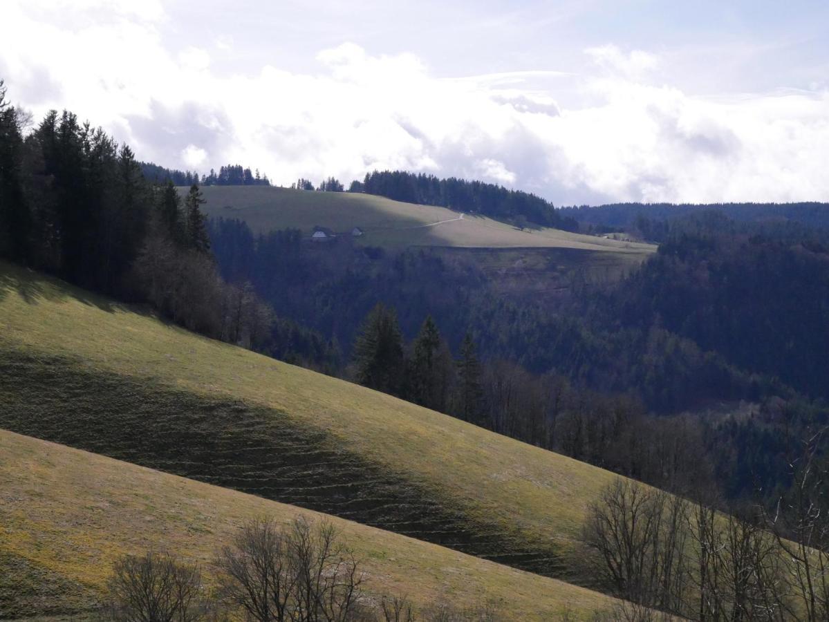 Отель Thurner Wirtshaus Санкт-Мерген Экстерьер фото